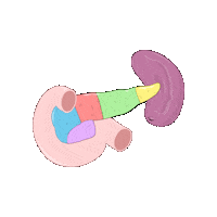 revmed study student medicine healthcare Sticker