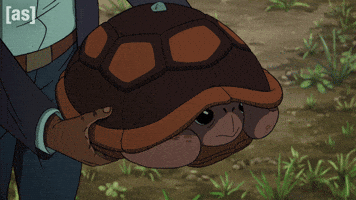 Turtle Give GIF by Adult Swim