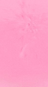 Ram Schlatt GIF by Youtooz