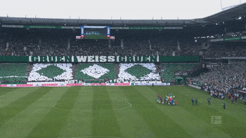 fans ostkurve GIF by SV Werder Bremen