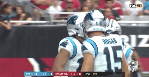 Carolina Panthers Football GIF by NFL