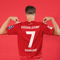 Soccer Goal GIF by Fortuna Düsseldorf