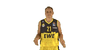 Ewe Baskets Basketball Sticker by EWE Baskets Oldenburg