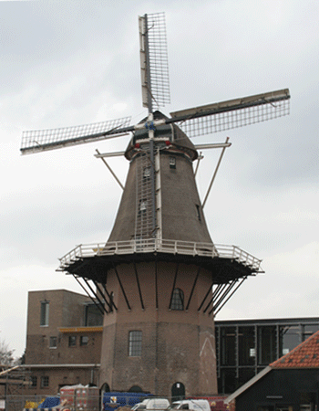 dutch GIF