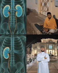 Followers Saudi GIF