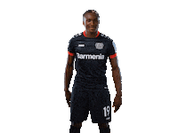 Bayer 04 Peace Sticker by Bayer 04 Leverkusen