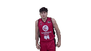 Vamos Come On Sticker by ACB