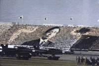 짤 GIF