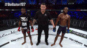 GIF by Bellator