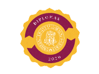 vduni lithuania lietuva vdu diplomas Sticker