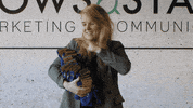 cowsandstars spending money cowsandstars cowsstars cows stars GIF