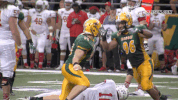 north dakota state football GIF by NDSU Athletics