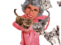 Cat Lady Sticker by TVDICASDERELACIONAMENTO