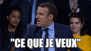 emmanuel macron meeting GIF by franceinfo