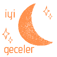 kafambionline star night moon turk Sticker