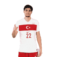 Ay Yildiz Millitakim Sticker by Kaan Ayhan