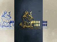 mauroandre6a40 mauro mauro personal maurolobo team lobo GIF