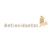 Skincare Cosmeticos Sticker by zaidaderm