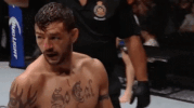 ufc 206 GIF