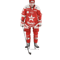 Stjernenalag Sticker by StjernenHockey