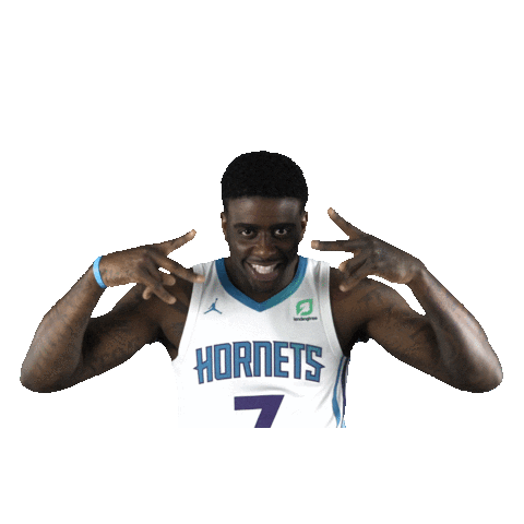 Sport Basketball Sticker by Charlotte Hornets