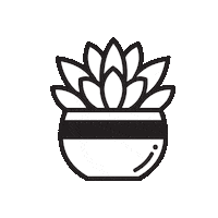 Palm Springs Plant Sticker by Succulent Studios