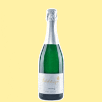 Party Cheers GIF by Weingut Erbeldinger