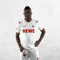 1 Fc Cologne Sport GIF by 1. FC Köln