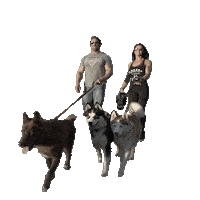 Dogs Wolf Sticker by Mike O'Hearn