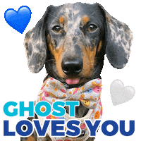 Sausage Dog Ghost Sticker by Pimp Yo Pets
