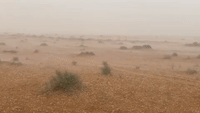Hailstorm Lashes Central Saudi Arabia