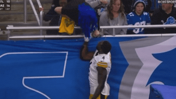 Pittsburgh Steelers Dk Metcalf GIF by Respective