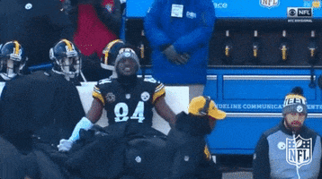 Pittsburgh Steelers Football GIF by NFL