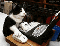 twebmarketing  GIF