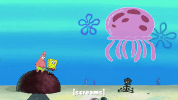 season 10 episode 6 GIF by SpongeBob SquarePants