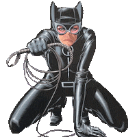 dc comics cat Sticker by Joseph Fontinha