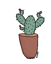 monpaloch plants garden cactus planta Sticker