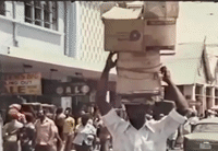 lively up yourself GIF by Bob Marley