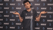 Esports Idk GIF by Rogue