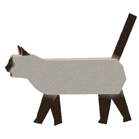 bandainamcoentasia cat omg shocked scream Sticker