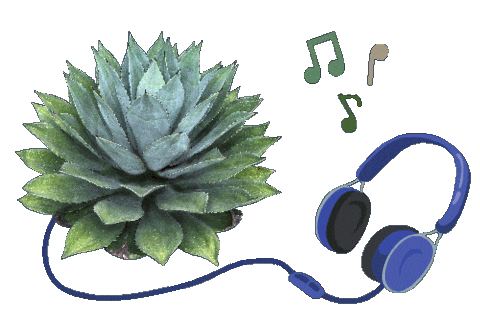 Mexico Musica Sticker by Santa Sabia Media