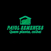 paiolsementesquemplantacolhe paiolsementes GIF