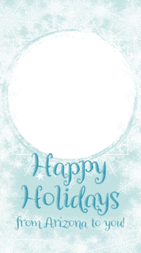 Frame Snowflake Sticker by The University of Arizona