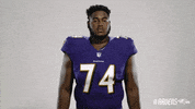 Charm City Smh GIF by Baltimore Ravens