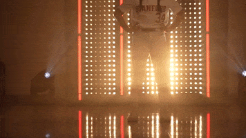 Stanford Cardinal Softball GIF by NCAA Championships