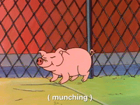 heyarnold nicksplat hey arnold GIF