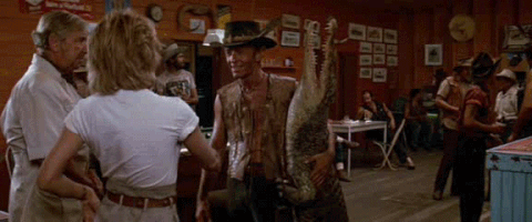 crocodile GIF