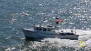 natgeochannel wicked tuna GIF