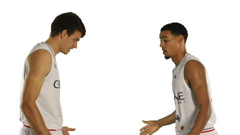 Basketball Basket Sticker by Lions de Genève