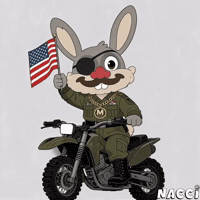 American Flag Trending GIF